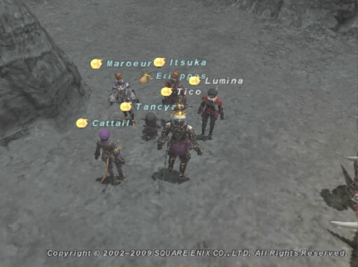 �^�u�i�W�A�ɏW��